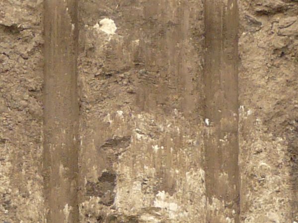 Texture of dark brown dirt wall with smooth vertical marks dug into it and an area of green and yellow grass at the top.